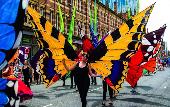 Giant Butterfly Hire